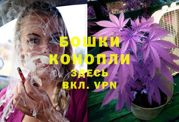 твердый Белокуриха