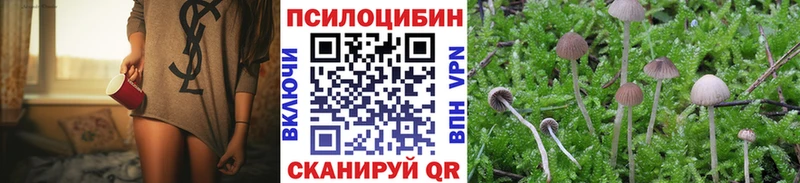 Купить где  Кукмор  Псилоцибиновые грибы прущие грибы 